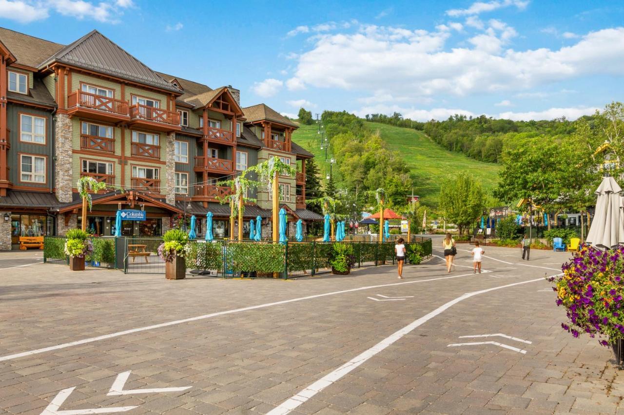 Modern Mountainside Ski In Ski Out 87111 Blue Mountains Ngoại thất bức ảnh