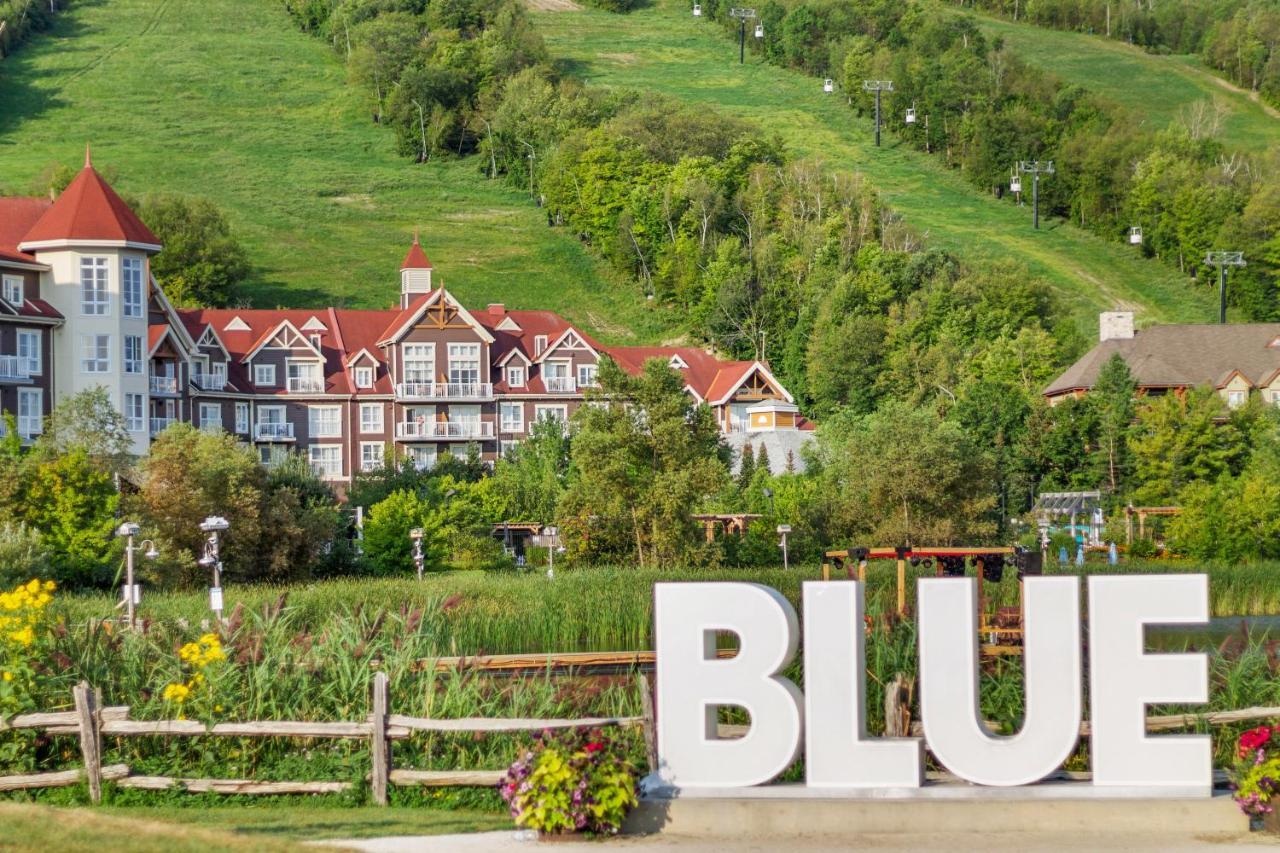 Modern Mountainside Ski In Ski Out 87111 Blue Mountains Ngoại thất bức ảnh