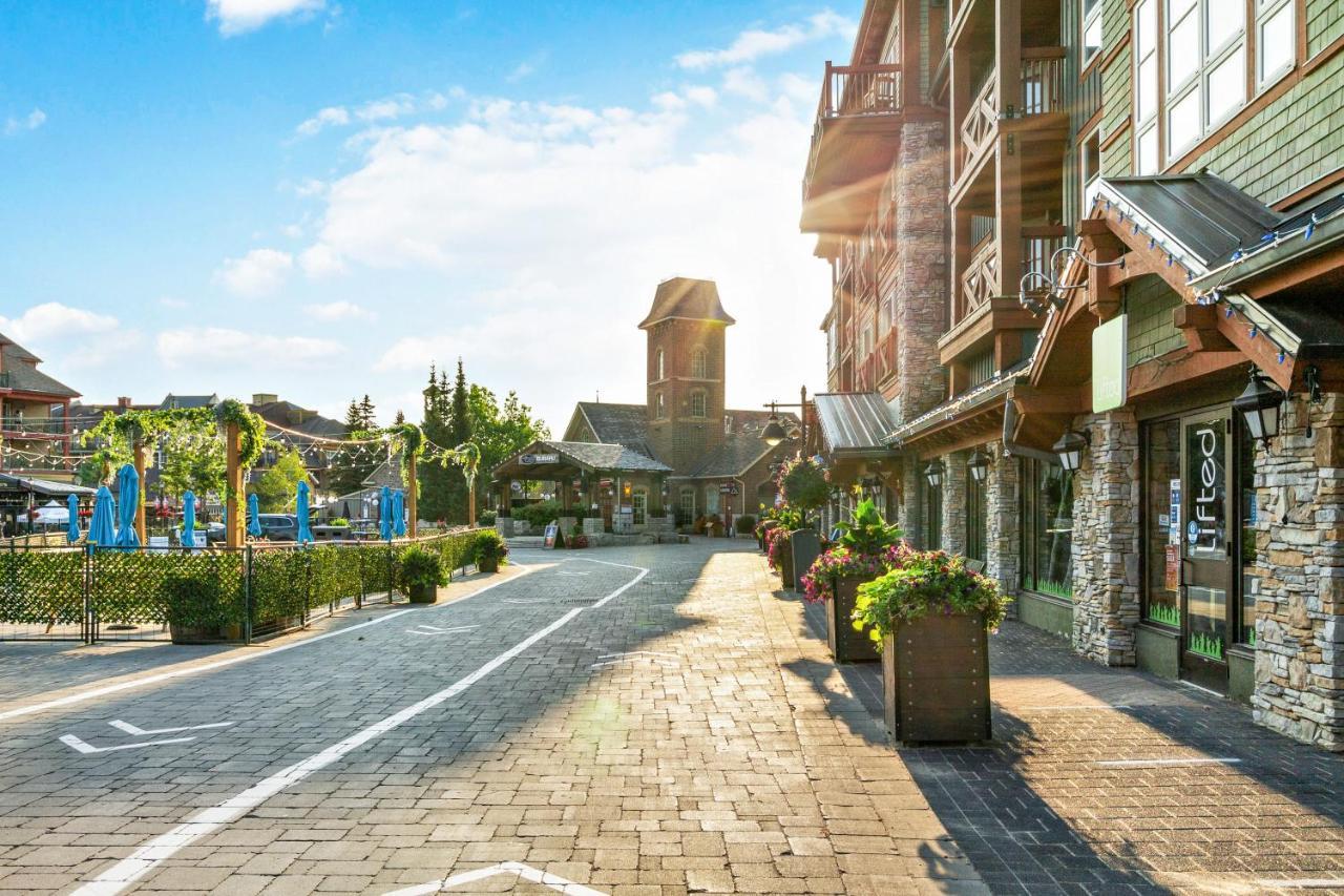 Modern Mountainside Ski In Ski Out 87111 Blue Mountains Ngoại thất bức ảnh